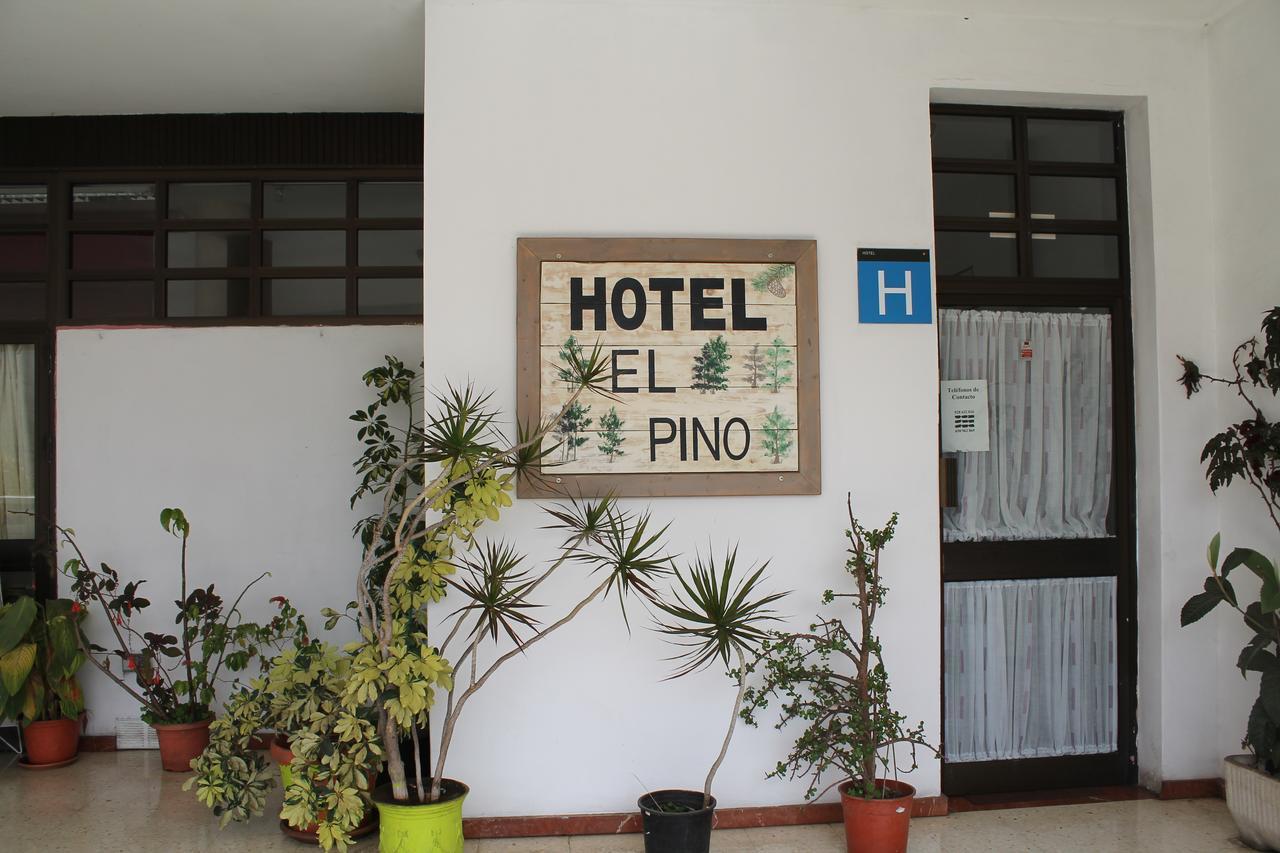 Hotel El Pino 特罗尔 外观 照片